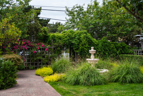 Inn at Haystack Rock - Landscaping